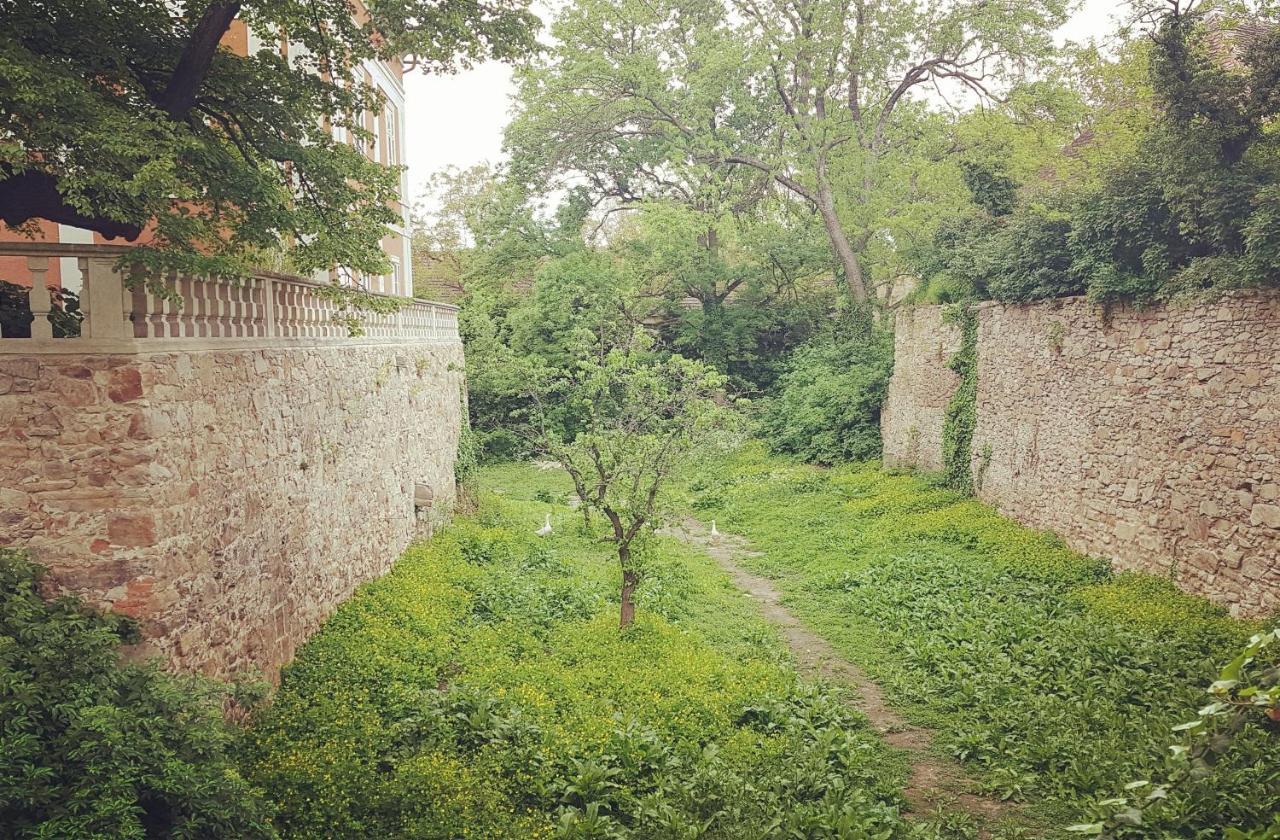 Ferienwohnung Schloss Schrattenthal Exteriör bild